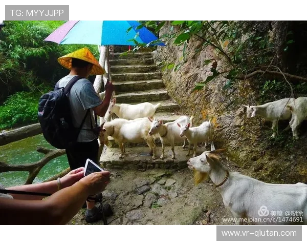 国羽队医宋立佼世锦赛兼职煲汤,营养支援成幕后功臣 国羽队医宋立佼世锦赛兼职煲汤,营养支援成幕后功臣